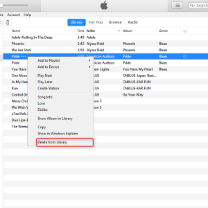 iPod Inquiries: Can You Delete the iPod Folder?