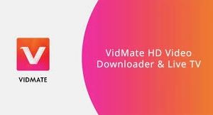 Vidmate APK No Ads Download – Stream Without Ad Interruptions